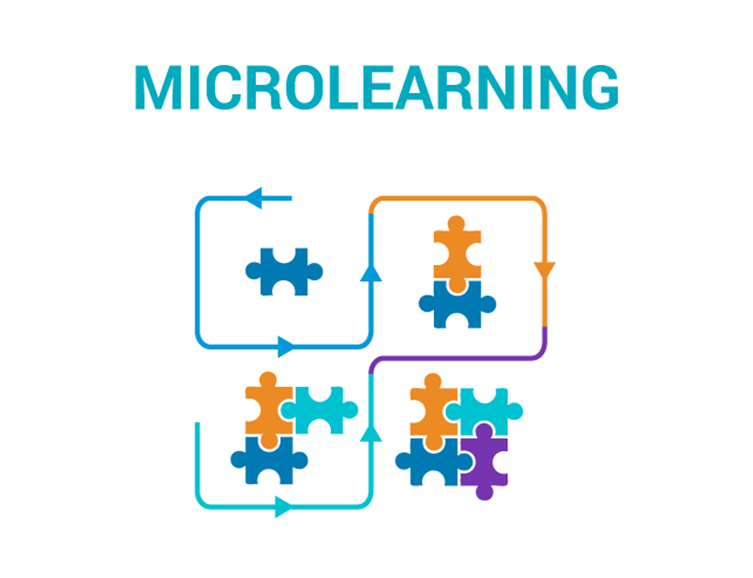 Perfect Partners: Microlearning and Higher Education